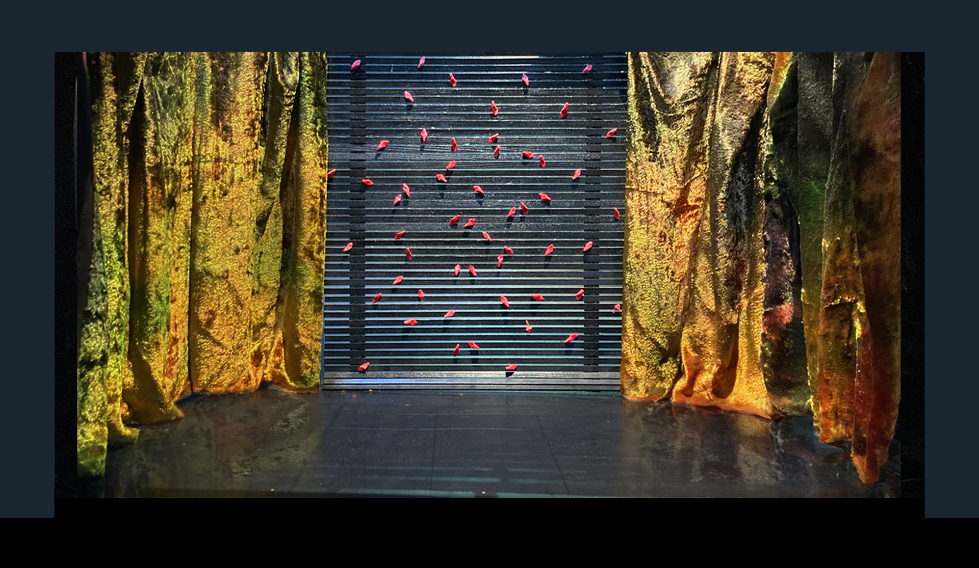 Patetisme il·lustrat