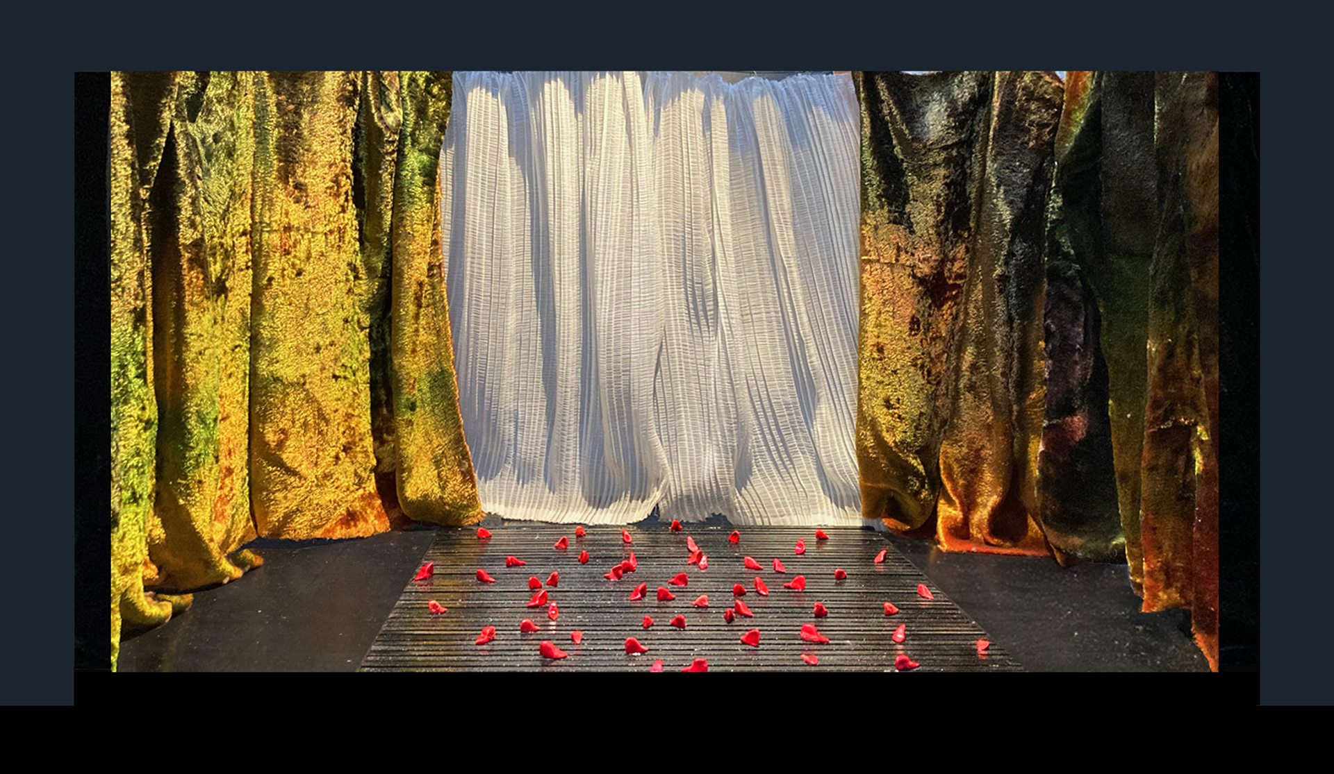 Patetisme il·lustrat